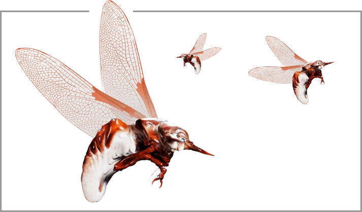 Buzzkills. Flying bugs