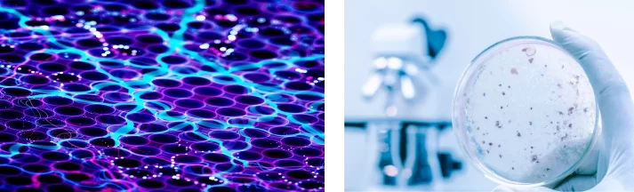 Ultraviolet light killing germs