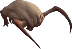 Headcrab - Cuddly?... NO. Headcrab