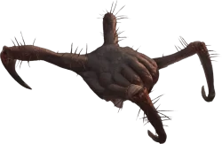 Toxic Headcrab. Oh look, hairs! Toxic Headcrab