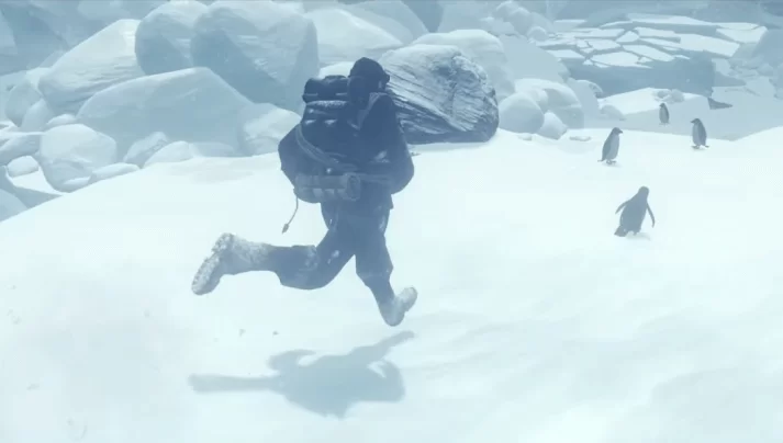 Oi! get back here, I'm hungry Chasing Penguins