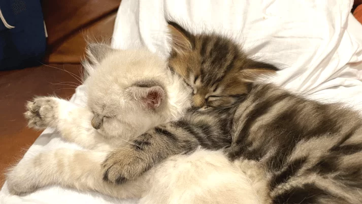 Time out, we're knackered!